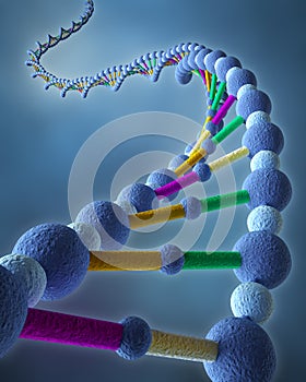 Abstract DNA Chains photo