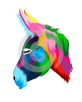 Abstract Donkey head portrait from multicolored paints. Colored drawing