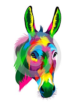 Abstract Donkey head portrait from multicolored paints. Colored drawing