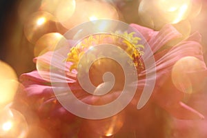 Abstract dreamlike pink flower and yellow light spheres