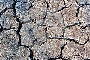 Abstract dried and cracked ground texture background