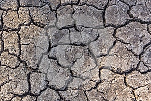 Abstract dried and cracked ground texture background