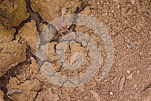 Abstract dry cracked ground surface