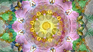 Abstract dynamic geometric kaleidoscope flower