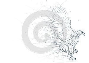 Abstract Eagle Low Poly Wireframe