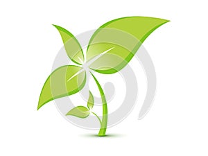 Abstract eco plant template