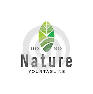 Abstract Ecology nature Leaf Logo design vector template. Creative Abstract Green Leave Logo Templates Boutique Stock. Agriculture