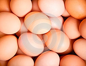 Abstract eggs background