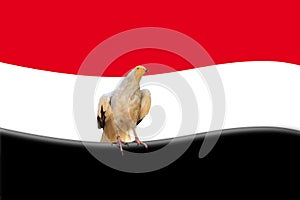 Abstract egyptian flag
