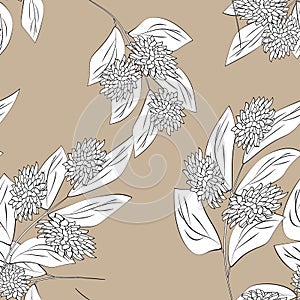 Abstract elegance pattern with floral background