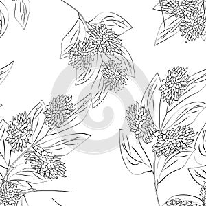 Abstract elegance pattern with floral background