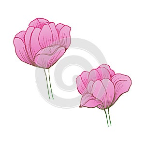 Abstract Elegance pattern with floral background