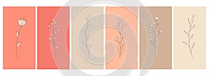 Abstract elements, minimalistic simple floral elements. leaves and flowers. Collection of art posters in pastel colors photo