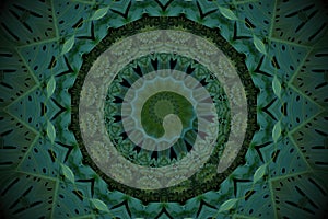 Abstract emerald green background, tropical leaves pattern with photo