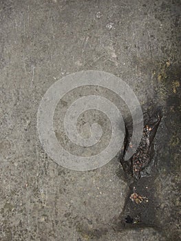 Abstract empty background.Photo of gray natural concrete wall texture. Grey washed cement surface. Grunge concrete cement wall