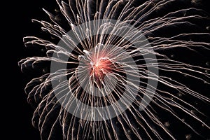 Abstract Explosion of a Fireworks Shell into a Night Aerial Display