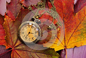 Abstract fall background