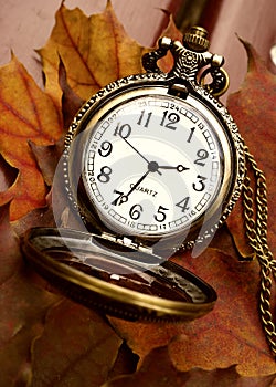 Abstract fall background