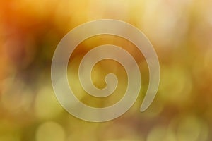 Abstract fall colored bokeh background