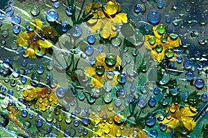 Abstract fantasy with blue water drops on silhouettes of yellow flowers. Green-blue background.