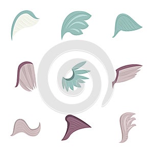 Abstract feather angel or bird wings icons set