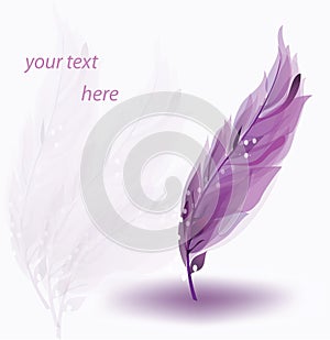 Abstract feather background