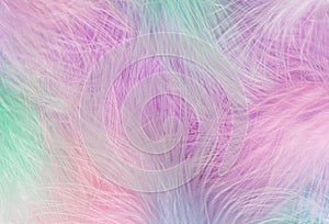 Abstract feather rainbow background.