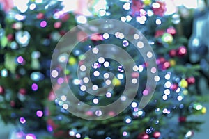 Abstract festive background of christmas fir tree, spruce with silver bokeh, unfocused sparkles of garland, decor lights