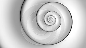 Fibonacci spiral white abstract background