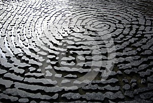 Abstract Fingerprint