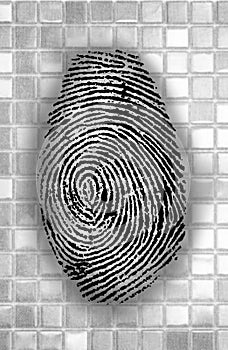 Abstract Fingerprint