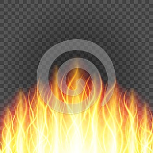 Abstract fire flame light on black background vector illustration.