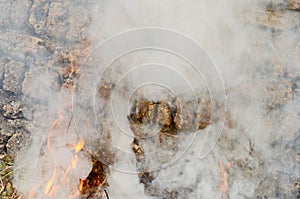 Abstract fire smoke dramatic background. Waste recycling