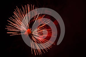 Abstract Fireworks: Red Bow-Tie in the Night