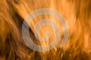 Abstract flame of fire, flame of fire flame texture for banner background, conceptual image of burning fire, perfect fire