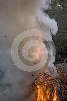 Abstract flame of fire, flame of fire flame texture for banner background, conceptual image of burning fire, perfect fire