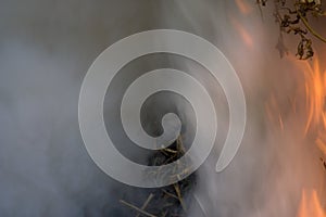 Abstract flame of fire, flame of fire flame texture for banner background, conceptual image of burning fire, perfect fire