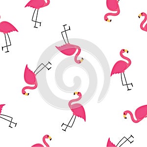 Abstract Flamingo Seamless Pattern Background. Vector Illustration