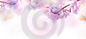 Abstrakt hintergrund aus lila Blumen weich Stil 