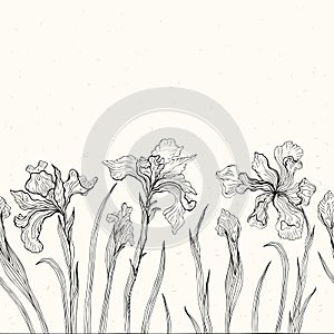 Abstract floral background. Iris.