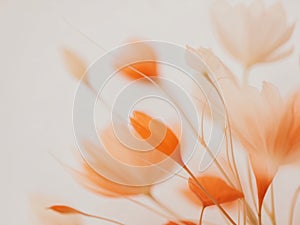 Abstract Floral Composition with Orange and White Tones.