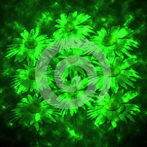 Abstract Floral Design on Green