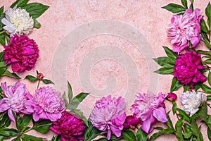 Abstract floral frame layout with copy space for text. Peonies on pink background. Romantic composition