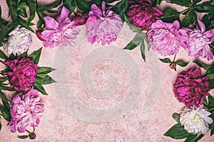 Abstract floral frame layout with copy space for text. Peonies on pink background. Romantic composition