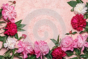 Abstract floral frame layout with copy space for text. Peonies on pink background. Romantic composition