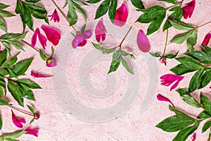 Abstract floral frame layout with copy space for text. Peonies on pink background. Romantic composition