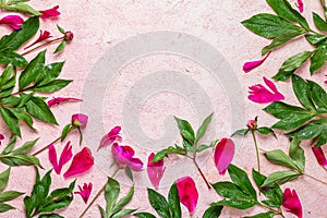 Abstract floral frame layout with copy space for text. Peonies on pink background. Romantic composition