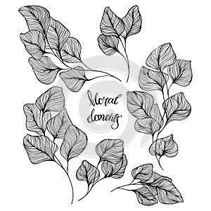 Abstract floral isolated elements. Hand drawn vector illustration on white. Black and white. Perfect for invitations, greeting