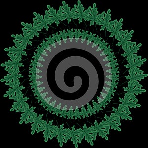 Abstract floral mandala design round vector background,,