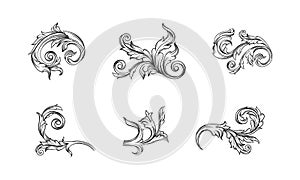 Abstract floral ornaments set. Decorative black and white curled leaves vector illustration